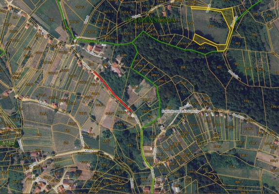 klenice