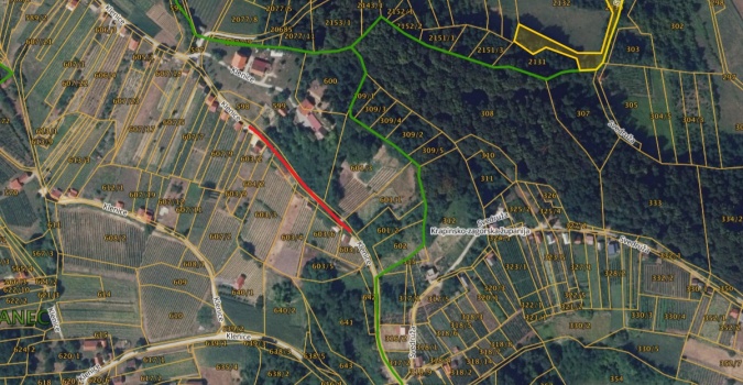 klenice