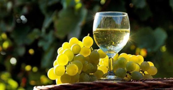 Grozd i vino