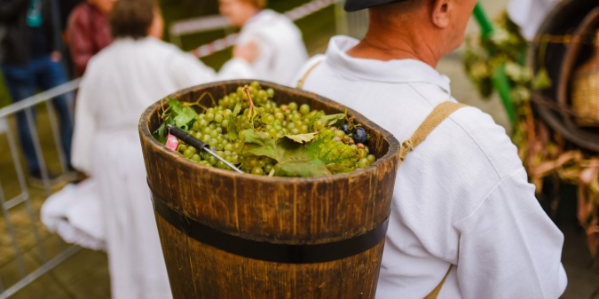 vino