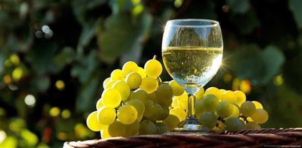 Grozd i vino